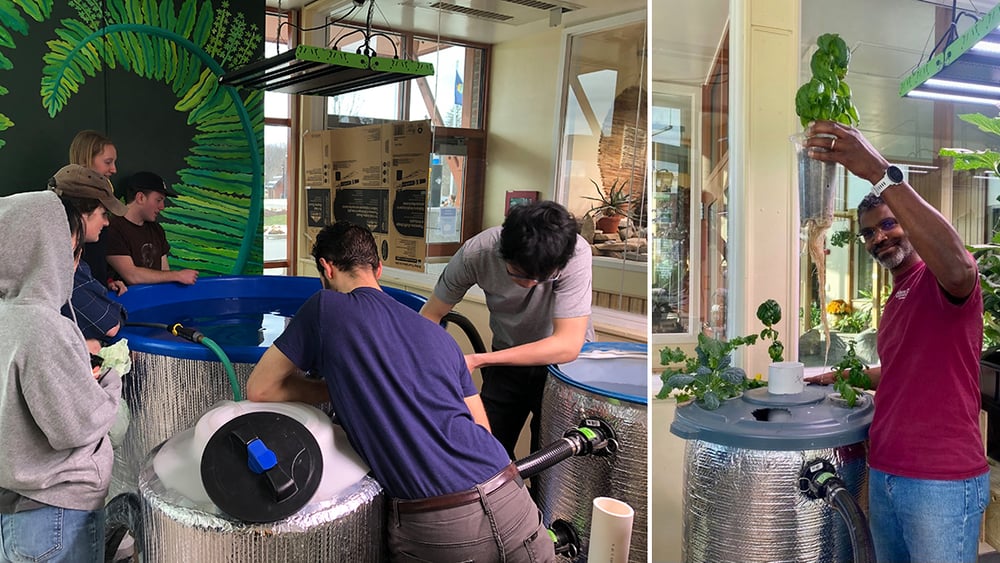 Left image - students work on aquaponics system, right - Theo Willis holds up a basil plant.