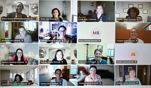 Health Equity planning committee on Zoom
