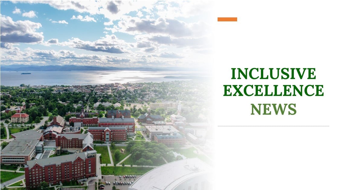Inclusive Excellence Banner-2