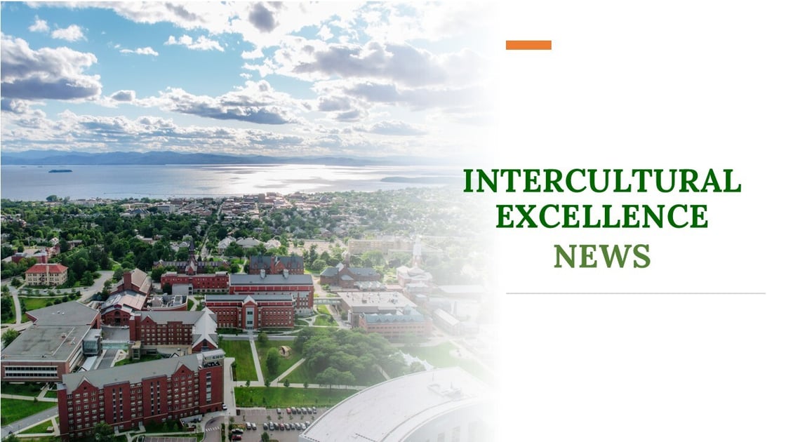 Intercultural Excellence Banner
