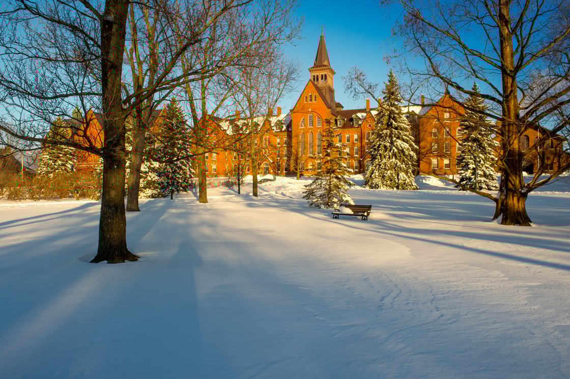 University row in winter