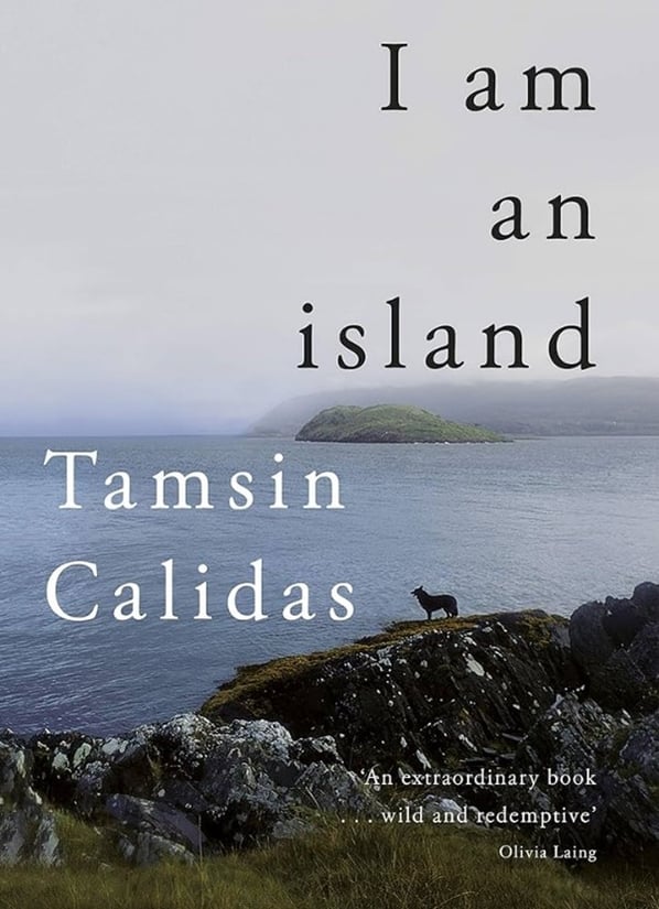 I am an Island by Tamsin Calidas bookcover that shows a coastline 