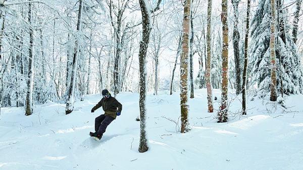 A snowboarder navigates a wooded ski slope